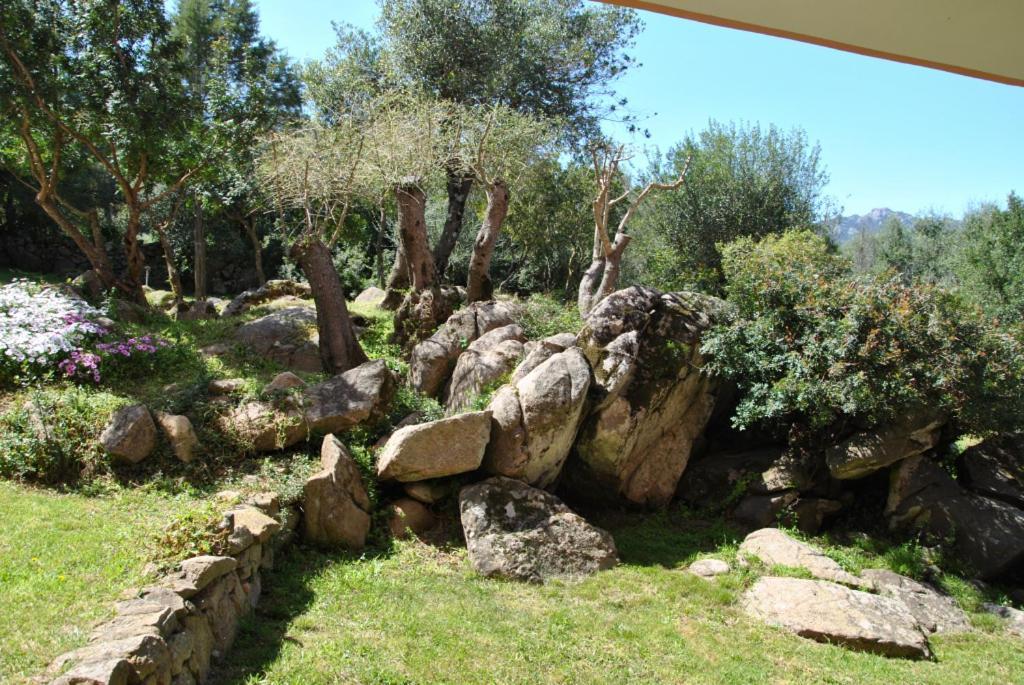 Sa Jaga Brujada Residence - Simar Vacanze Porto Rotondo Kültér fotó